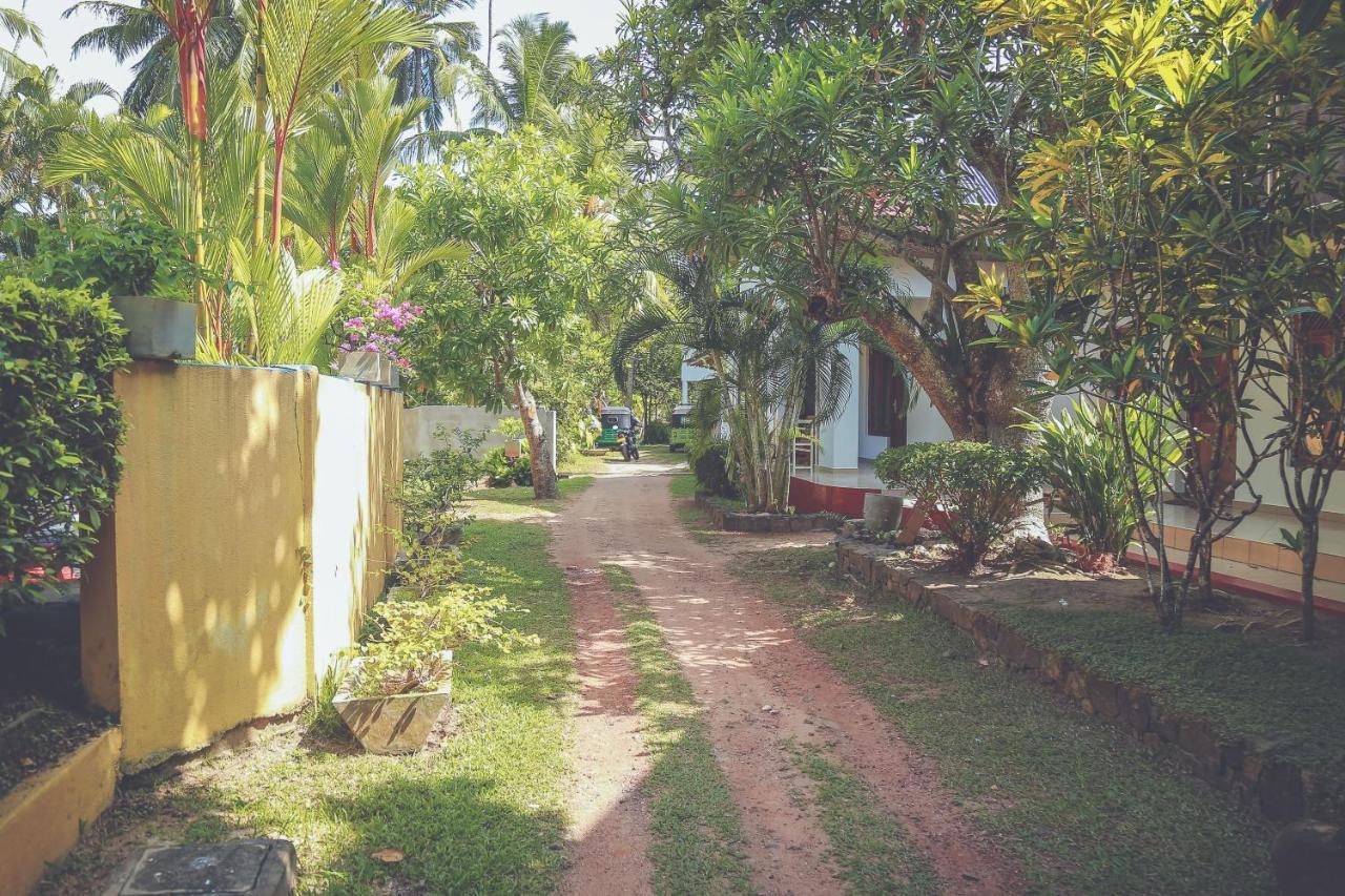 Hikka Surf Hostel Hikkaduwa Exteriör bild